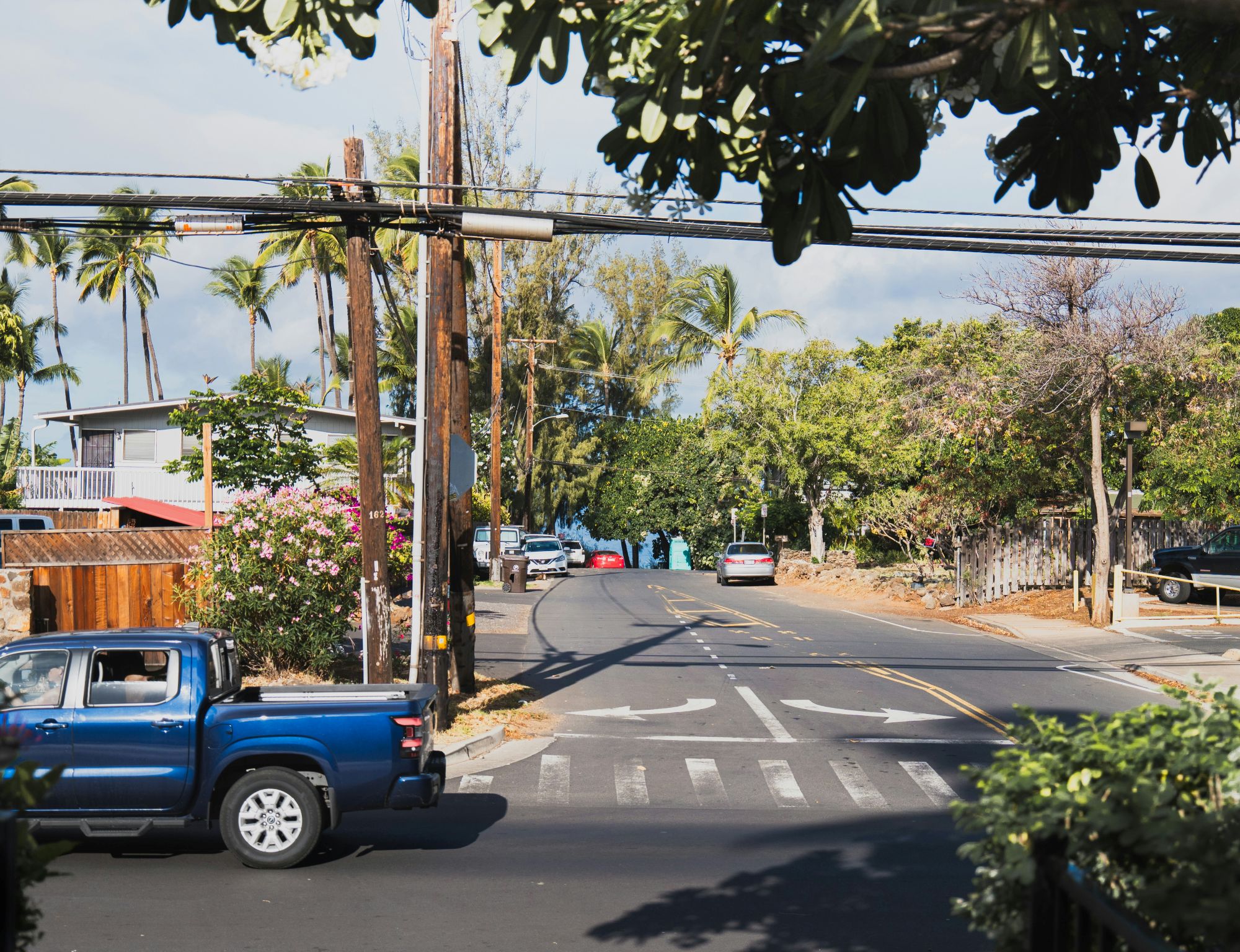 Hawaii Power lines